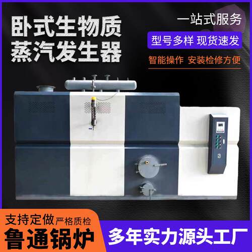 0.6T生物质蒸汽发生器服装洗涤熨染蒸汽锅炉生物颗粒蒸汽发生器