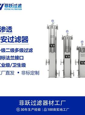 菲跃RO反渗透保安过滤器蒸汽锅炉水力发电软化除盐补给水过滤器