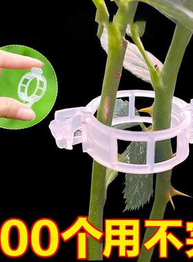 蔓藤固定器吊秧苗葡萄枝种菜架子蔬菜豆角爬藤支伸缩杆吊秧固定卡