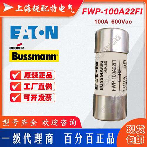 FWP-100A22FI陶瓷管保险丝600V100A22x58巴斯曼BUSSMANN熔断