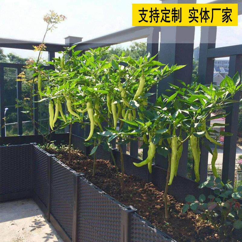 种植箱 自由组合阳台塑料花箱 绿化楼顶温室花盆菜篮支持