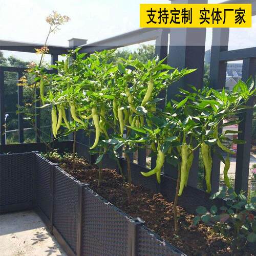 种植箱 自由组合阳台塑料花箱 绿化楼顶温室花盆菜篮支持