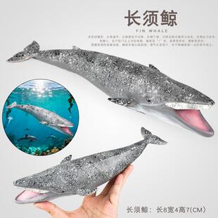 跨境仿真海洋动物模型软胶长须鲸大白鲨虎鲸白鲸蓝鲸儿童玩具摆件
