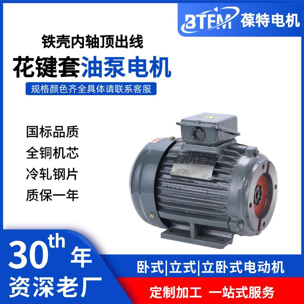 铁壳内轴电机直连式液压花键套齿轮油泵马达顶出线三相异步工业级
