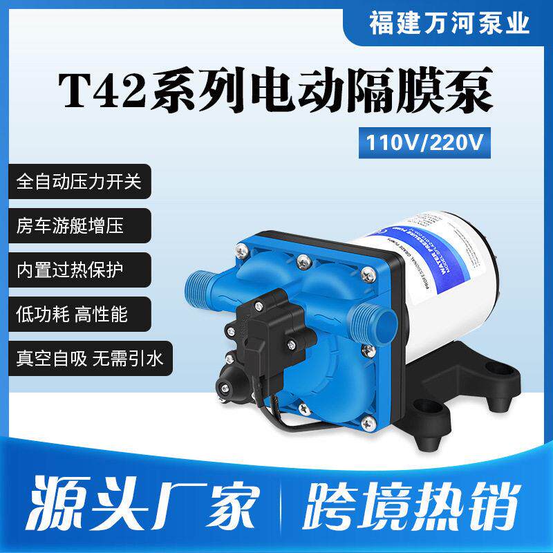 跨境11升110V交流电动隔膜泵220V自吸泵家用水压压泵抽水往复泵