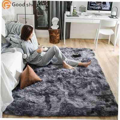 Plush Carpets For Living Room Soft Fluffy Rug Home Decor
