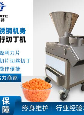 青瓜菠萝切片机土豆胡萝卜木瓜切丁切块切丝机大型平行切瓜果机