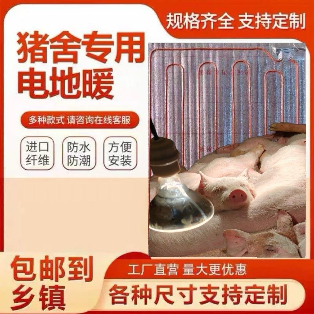 品质保障养殖场石墨烯碳钎维电地暖小仔猪用电热板发热线猪舍设备