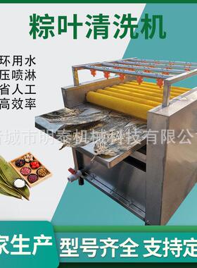 全自动粽叶清洗机 菠萝叶双层毛刷清洗设备 槲树叶苇叶连续清洗机