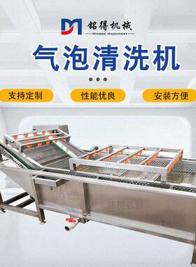 大型包装袋气泡清洗设备全自动压喷淋清洗机樱桃加工机器