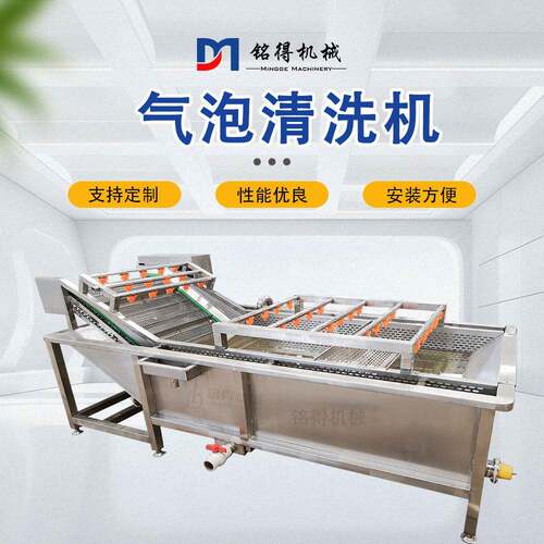 大型包装袋气泡清洗设备全自动压喷淋清洗机樱桃加工机器