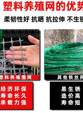 3YV54TF1塑料围网养殖防护拦鸡鸭胶网家用菜园玉米护栏栅栏户外养