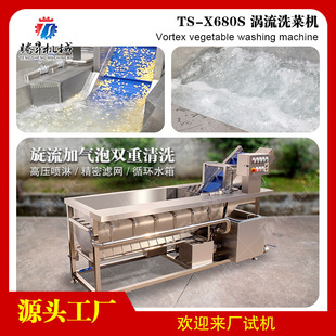 配套作业线 涡流洗菜机 果蔬清洗机 大枣清洗机 厂家供应可组产线