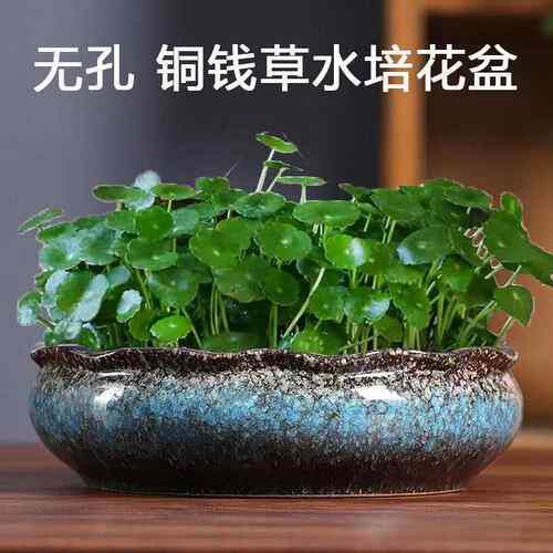 水培花盆水仙睡莲碗莲无孔金钱水养大号陶瓷铜钱草专用盆厂家直销