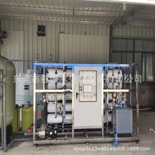 厂家直供反渗透过滤装 EDI电渗析系统工业用纯水净化设备 置二级RO