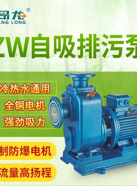 W自吸泵 直连式无泵吸堵Z塞自216排污泵 卧式不锈钢304自吸排污泵