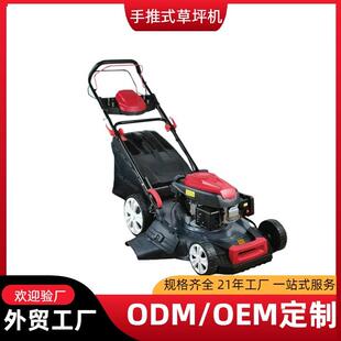 草坪专用割草机果园花园汽油大功率割草机四冲程自走手推式 草坪机