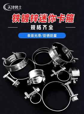 铁镀锌迷你卡箍抱箍油管fsae汽车pe油路油管专用卡箍管强力小喉箍