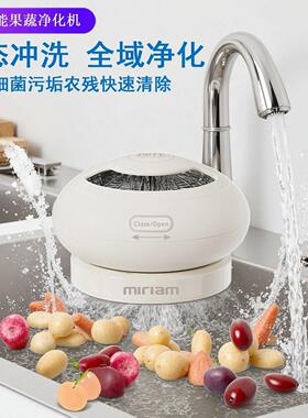 果蔬清洗机家用去农残清洗机超声波便携式洗菜机食材免手洗净化机