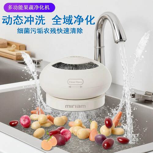果蔬清洗机家用去农残清洗机超声波便携式洗菜机食材免手洗净化机