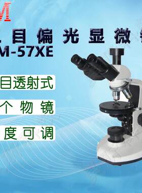 BM彼爱姆三目偏光显微镜BM-57XED三目透射式4个物镜1600倍电光源