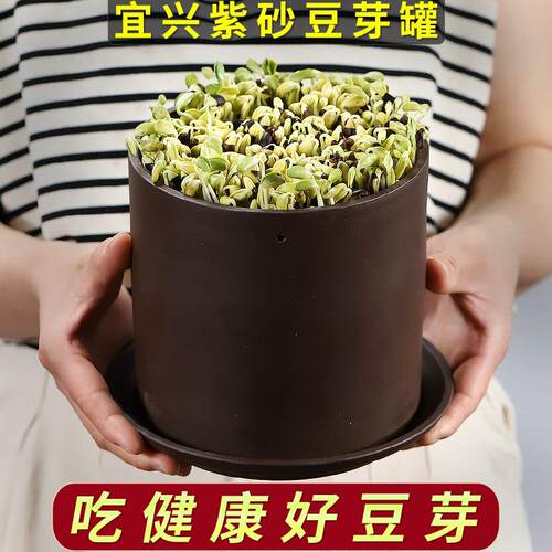 吉事邦 （纯天然）宜兴紫砂豆芽罐 大号豆芽机发菜苗水培菜苗菜芽
