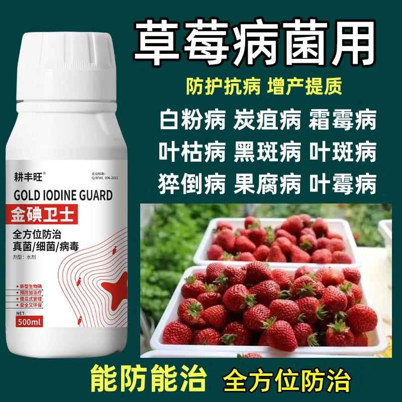 草莓病全治草莓专用杀菌药红中柱草莓白粉根腐灰霉叶斑病软腐炭疽