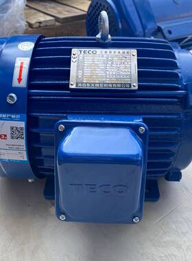 东元电机TEF3 100L1-4 AEMB3N