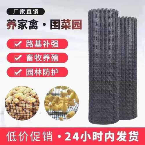 拦鸡网加厚养鸡鸭围栏塑料网养殖网胶圈地菜园防护网玉米网格栅无