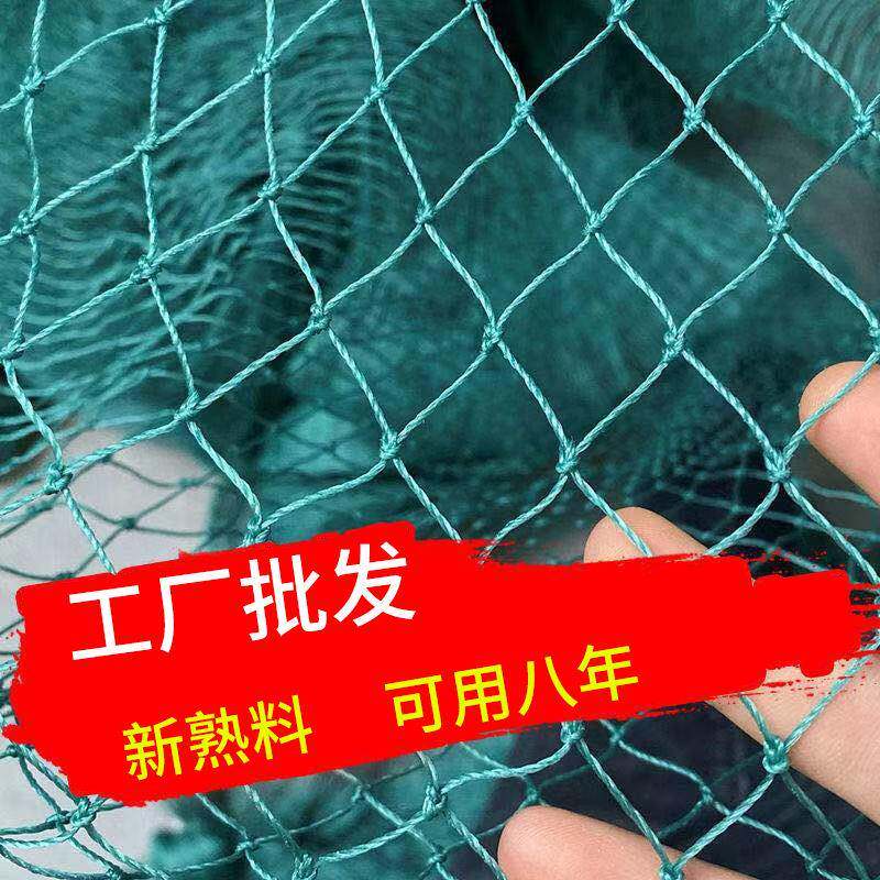 新款直销养鸡网 防飞网 防鸟拦鸡网 攀爬 围栏爬藤网尼龙网隔离网