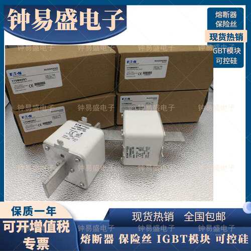 BUSSMANN低压熔丝170M6081 400A 690V巴斯曼高速熔断器