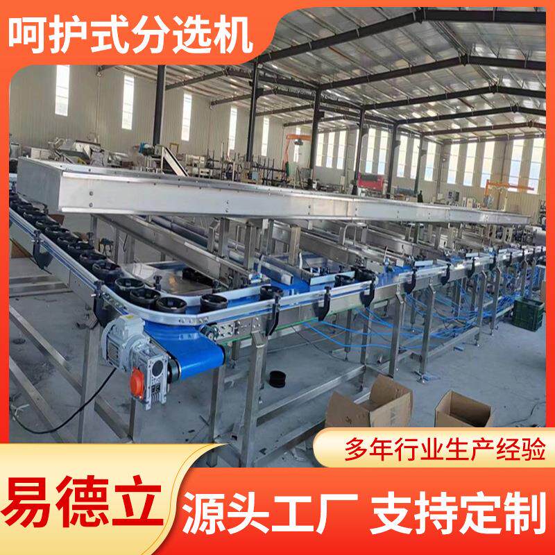 芭乐芒果选果机无损分选精准测糖厂家直销秋月梨水蜜桃分选机