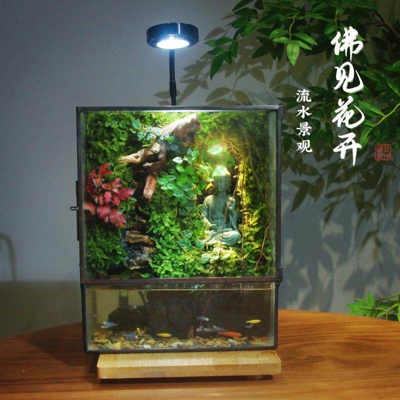 yut苔藓微景观雨林缸生态瓶流水桌面绿植水陆生态缸禅意大佛盆栽