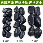 黑色花雨花20230724石园造景工程路景铺观黑色石子黑色精林抛雨石