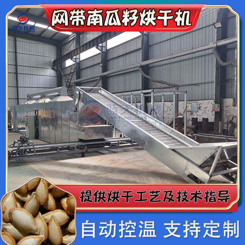 网带南瓜籽烘干机连续式葵花籽南瓜子脱水烘干设备葫芦籽干燥机