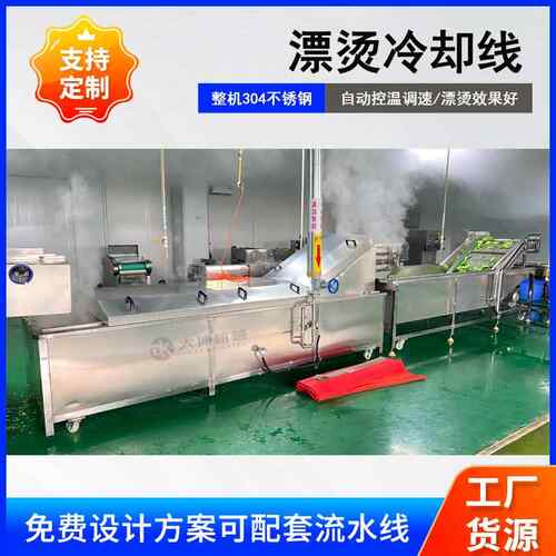 升降式小油菜杀青机 菠菜杀青预煮设备 蒸汽加热蔬菜杀青预煮冷却