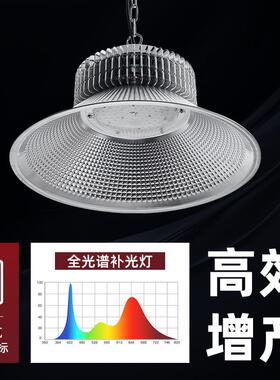 L灯ED物全光谱SHA兰花植物补光植生长灯君子兰绿植花育卉苗温室大
