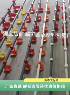 养鸡大鸭自动饮水线25管雏鸡水器6分饮水小鹅喝水养殖料桶鸭水线