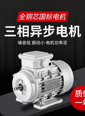YS/YE2-100L1-4三相220V立卧式2.2KW电动机380V国标铜芯低速马达