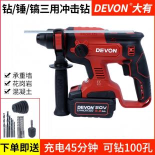 大有5401锂电无刷电锤电镐三用充电式冲击钻多功能大功率电动工具