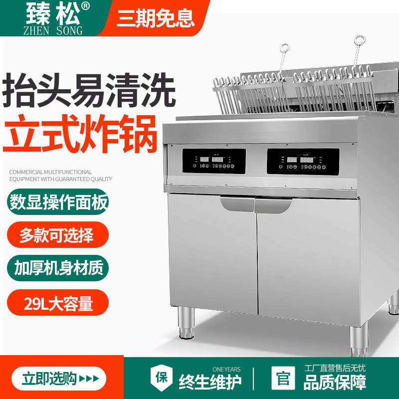 大容量自动控温电炸炉商用立式智能双缸双水槽炸锅电热炸锅炸鸡排