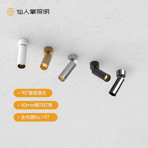 仙人掌照明迷你明装40mm小筒射灯可调角度led吸顶式不锈钢天花板