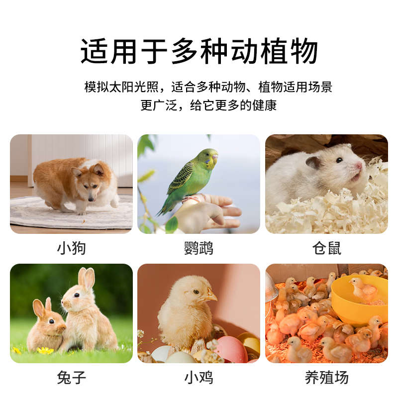狗狗冬天取暖灯宠物加热灯小狗窝uvb补钙鹦鹉兔子仓鼠猫咪养殖场