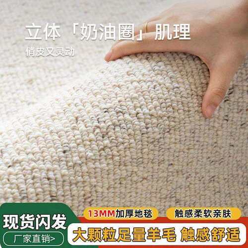 羊毛新西兰地毯进口简约茶几家用卧室纯色客厅轻奢现代高级沙发