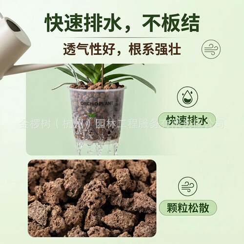 土物炭绵海绵扦插育苗无基质蝴蝶兰兰科热生带物碎绵种植植透气栽