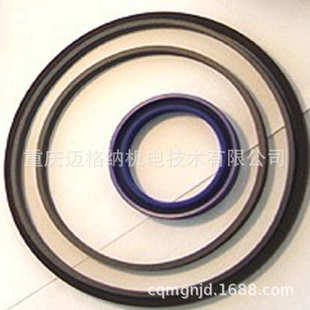 辊压机油缸密封CLFY400 320