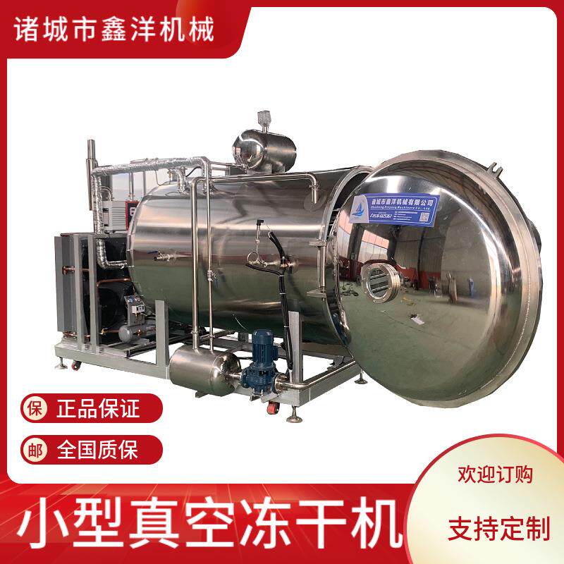 小型海参真空冻干机水果蔬菜片冻干机宠物零食鸡胸肉真空冷冻机