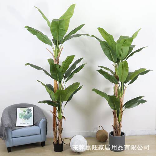 蕉树仿真植物大型芭绿植假盆栽室内饰落地景jw060客盆厅仿真香蕉