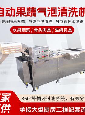 压喷淋气泡清洗机红薯土豆漩涡震动洗菜机多功能水果净菜预洗机
