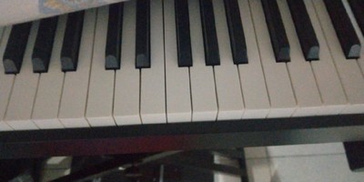 卡西欧EP-S120电钢琴怎么样?音质听起来有点失真是真假呢?